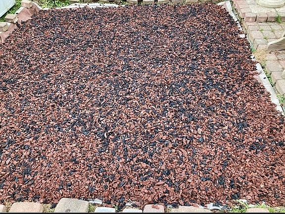 Rubber mulch play area