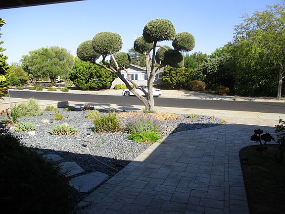 5th image of 1210 Washoe Dr