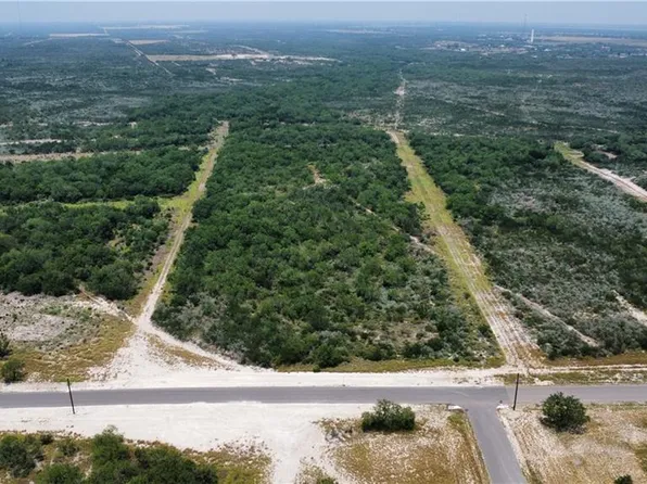 60 E Falcon Trl, Rio Grande City, TX 78582