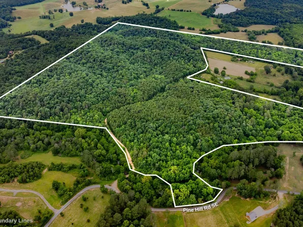 0 Pine Hill Rd SE, Rydal, GA 30171