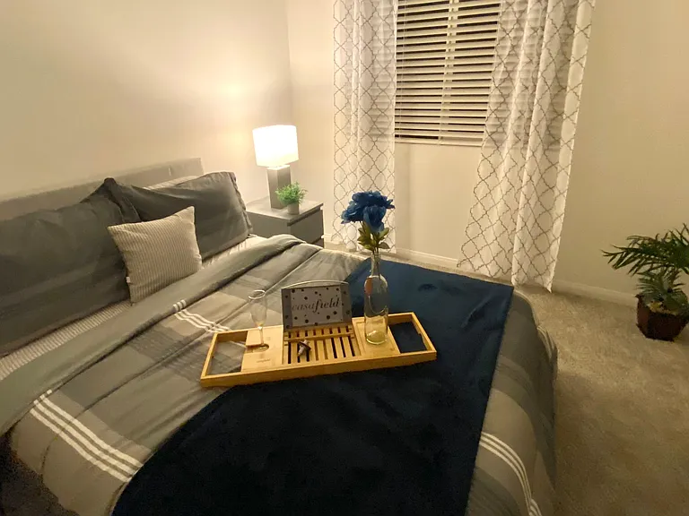 2828 Mosaic Moon Ln — Photo 30
