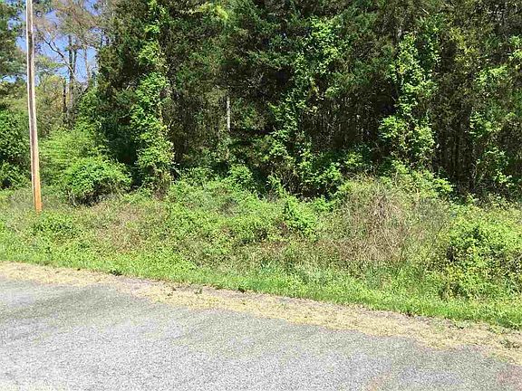2nd image of 305 Creekside Dr