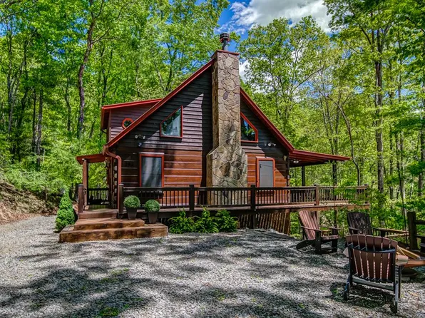 282 Papa Bear Path, Cherry Log, GA 30522