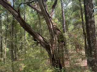 0 Boat Landing Rd, Ridgeville, SC 29472