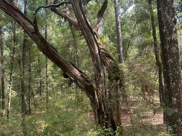 0 Boat Landing Rd, Ridgeville, SC 29472