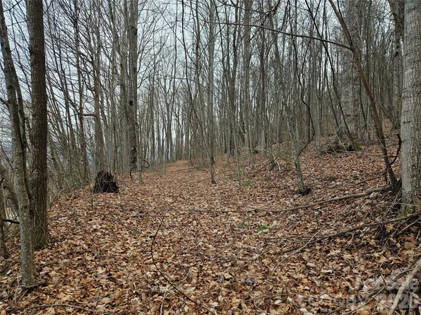0 Slippery Rock Rd, Waynesville, NC 28785