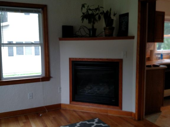 Fireplace in living room.