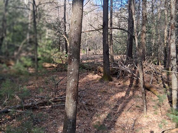 5th image of Tbd Gullion Fork Rd