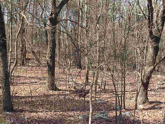 4th image of 0 Mulberry Ln 426 427 #385