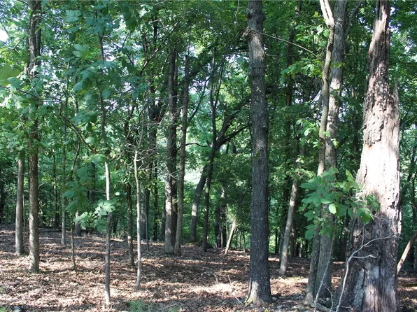 998 Yellow Pine Rd #98, Kansas, OK 74347