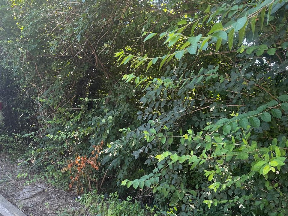 1st image of 3 Estelle St