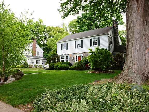 Mature Beautiful Trees