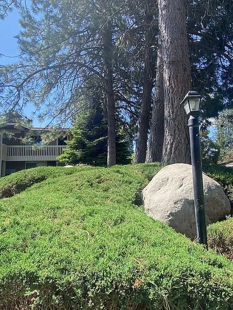 1 bed, 576 sqft, $950 — Photo 2
