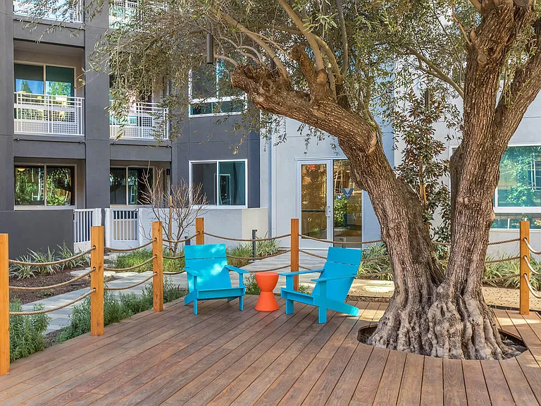 Vita Apartment Homes — Photo 45