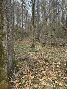 0 Red Boiling Springs Hwy, Red Boiling Springs, TN, 37150