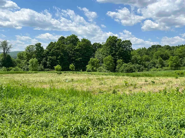 0 Steinberg Road, Brandon, VT 05733