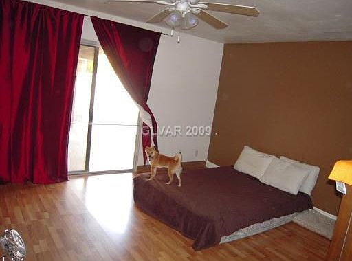 3rd image of 3886 Spitze Dr