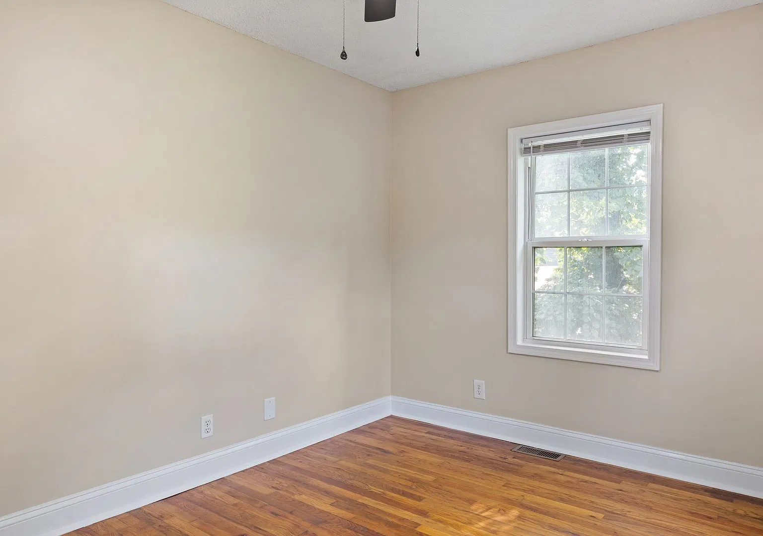 308 Gill Street — Photo 3
