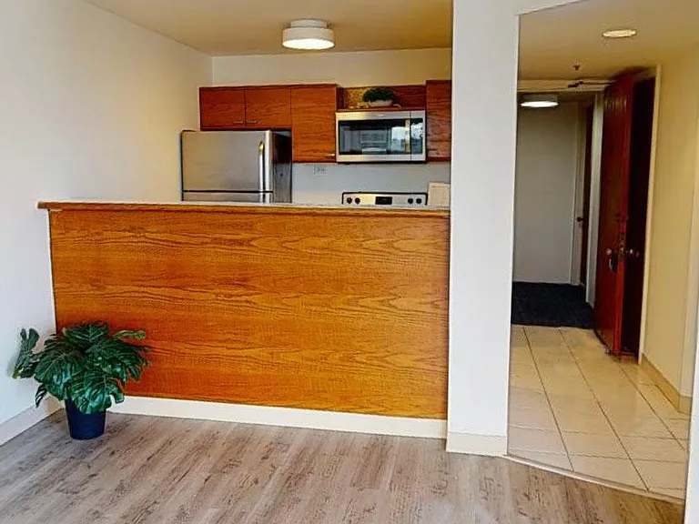 60 N Beretania St #3106 — Photo 7