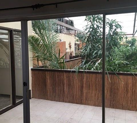 Deck off Living area showing year round tropical garden