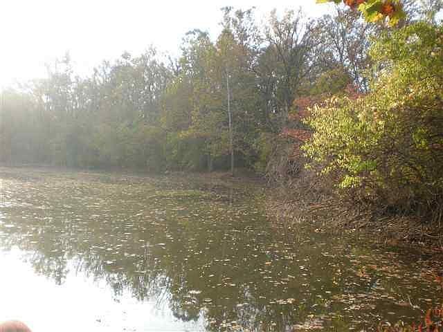 2nd image of 1217 S Andrews Rd
