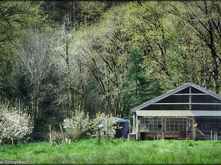 Paradise Creek Rd — Photo 8