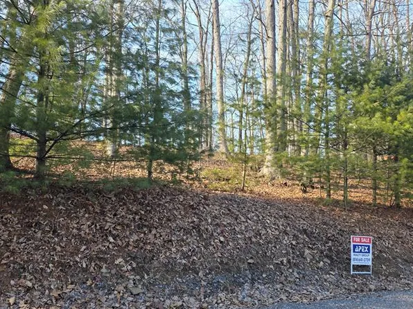 LOT 24 Raystown Dr, Huntingdon, PA 16652