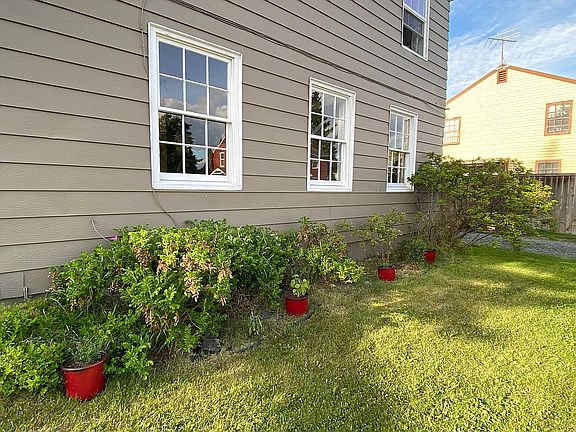 Side of house, rose bushes