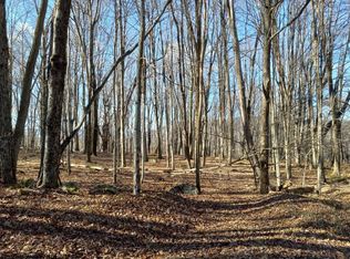 23 Flat Rock Run, Dryfork, WV 26263