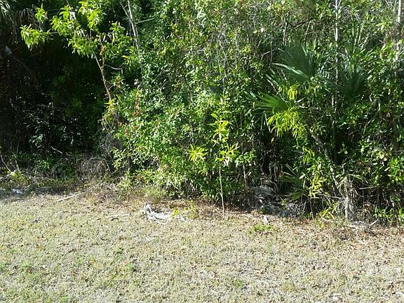2nd image of 12233 Persimmon Blvd