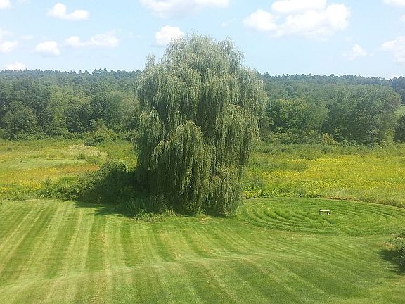 Willow & labyrinth in rear