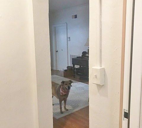 4th image of 708 W 48th St APT 306