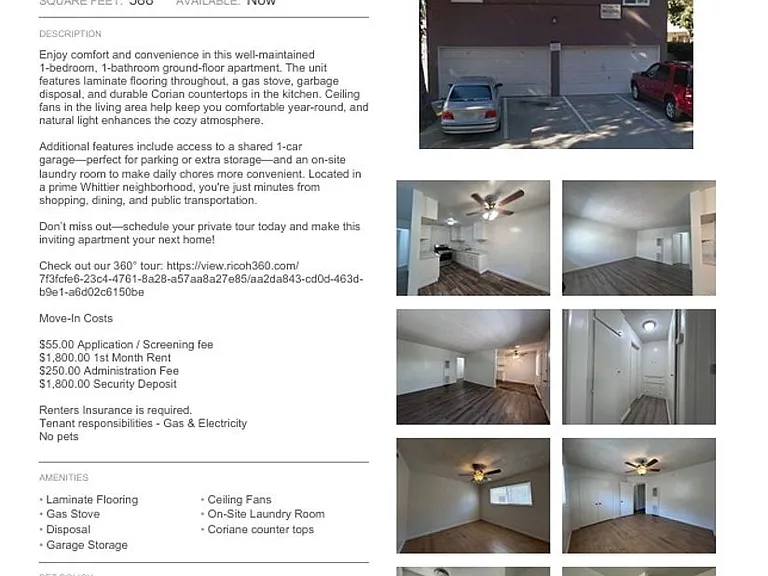 Milton — Photo 3