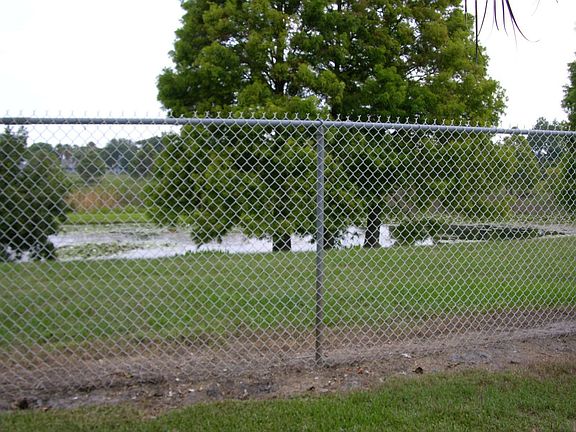 Back yard