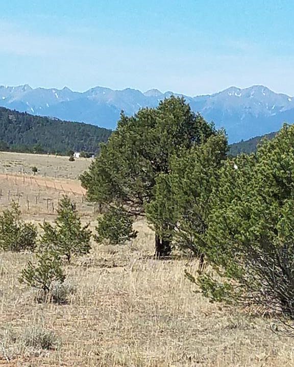 1st image of 794 Blazing Saddle Trl #600