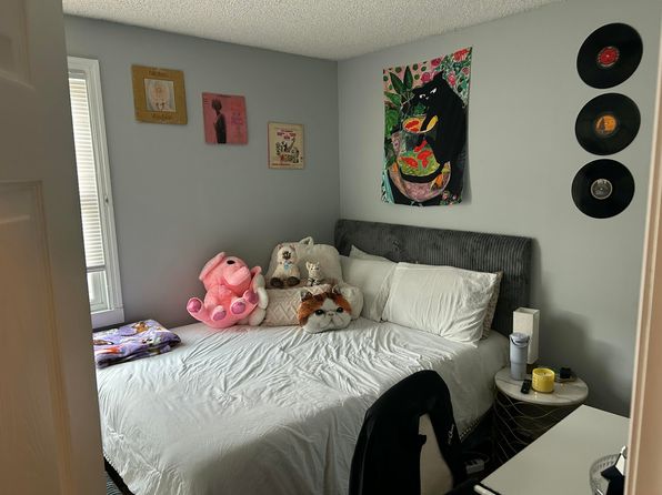 charleston-south-carolina-2082297296 picture