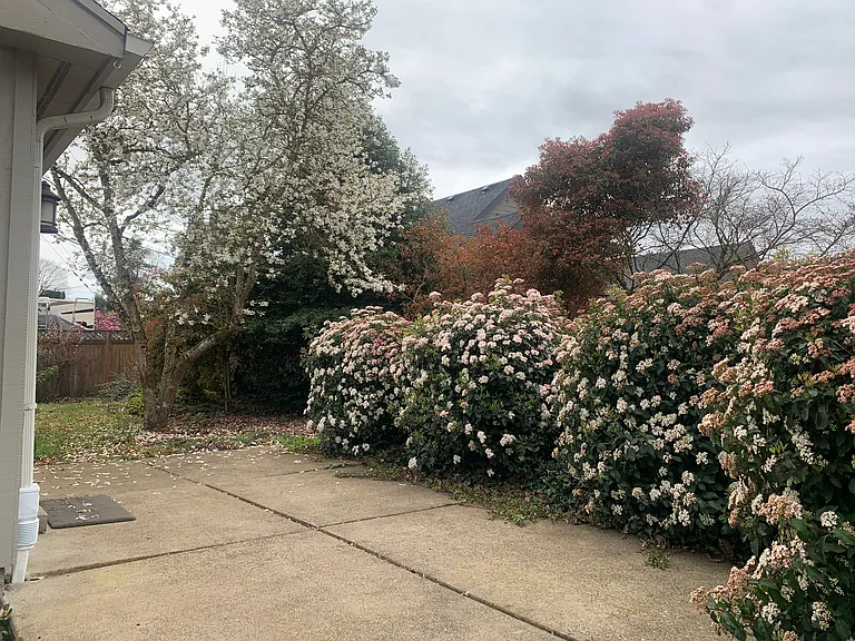 2801 Tandy Turn — Photo 39
