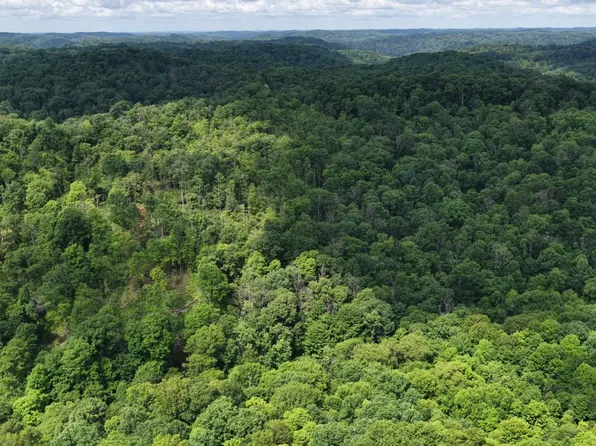 0 Shay Ridge Rd, Wingett Run, OH 45789