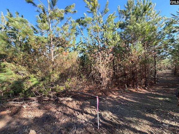 4th image of Bff Ii 6 Brunson Teal Rd