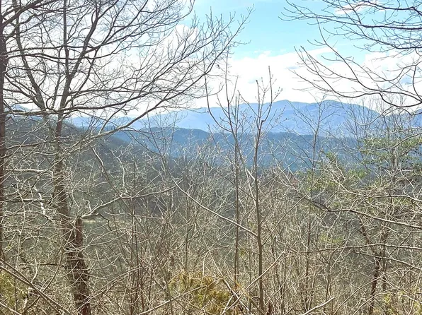 Na Walnut Cv, Bryson City, NC 28713