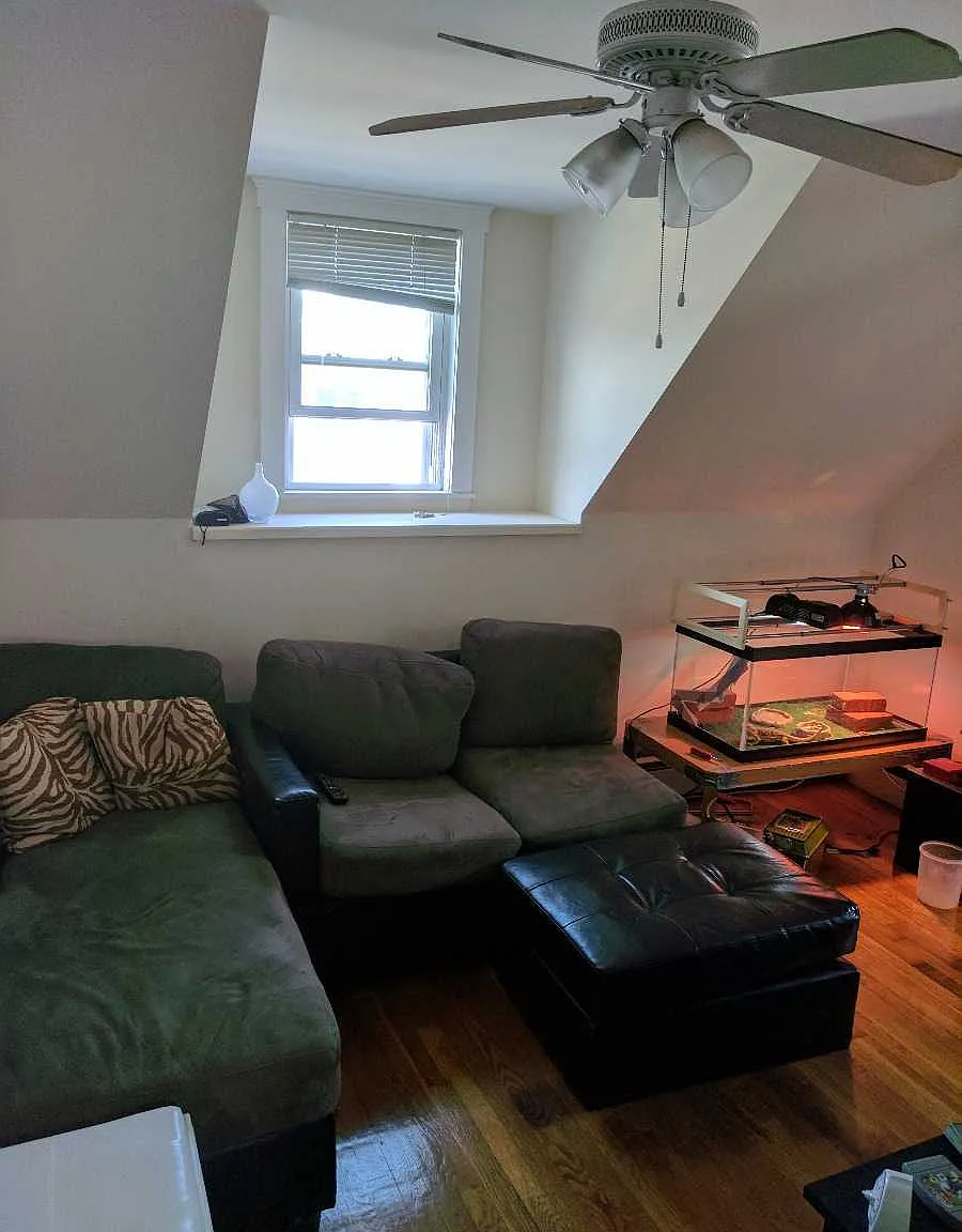 3 bed, $3,500 — Photo 2