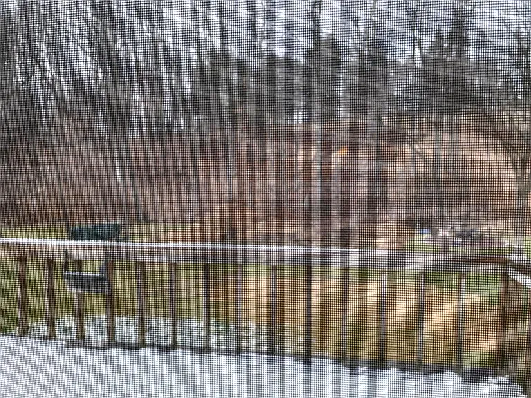 113 Sandy Dr — Photo 39