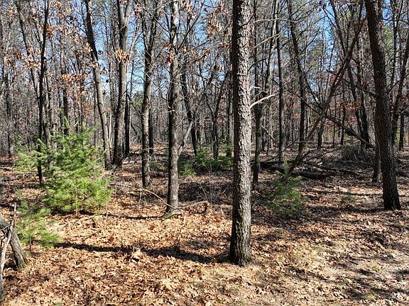 2nd image of LOT 42 Eileen Ln