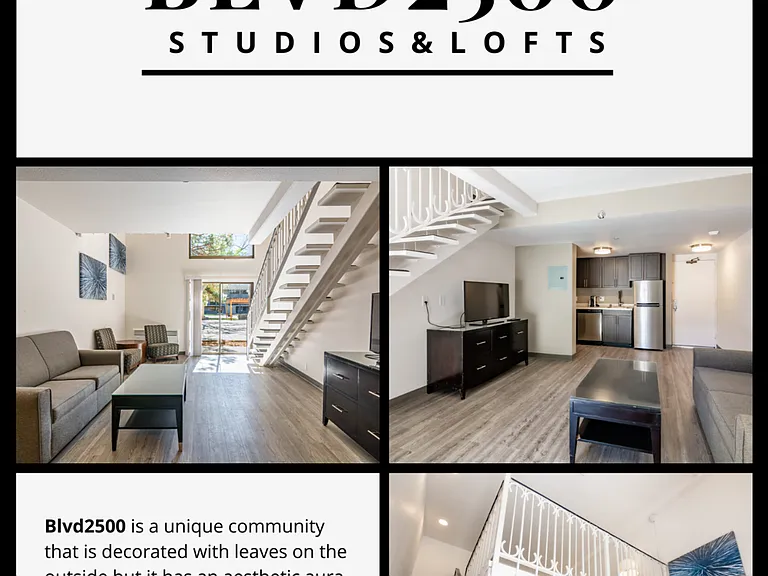 Live at the BLVD 2500 New, beautiful and best location! — Photo 12