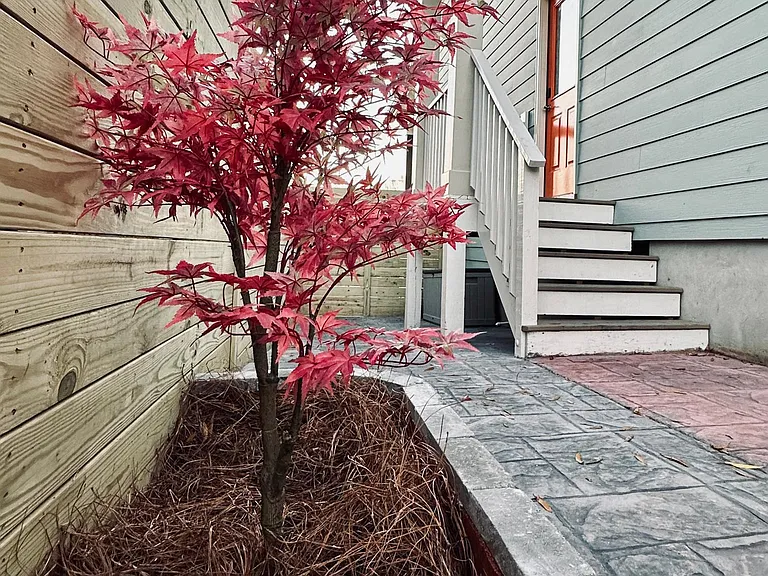 701B Grant St — Photo 11