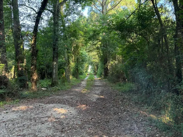 17286 Highway 933, Prairieville, LA 70769
