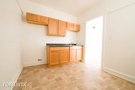 7956 S Aberdeen St Apartments Chicago Kitchen_01