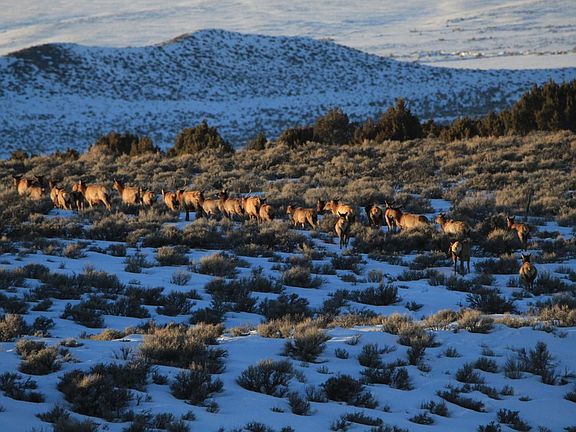 3rd image of TBD County Road 53