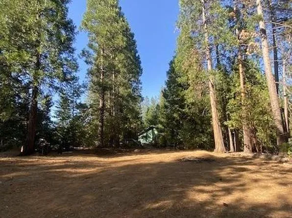 0 Sugar Pine Dr, Pioneer, CA 95666