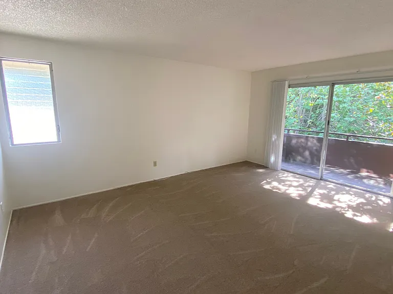 4319 Collwood Ln — Photo 14